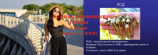 сатива Горно-Алтайск