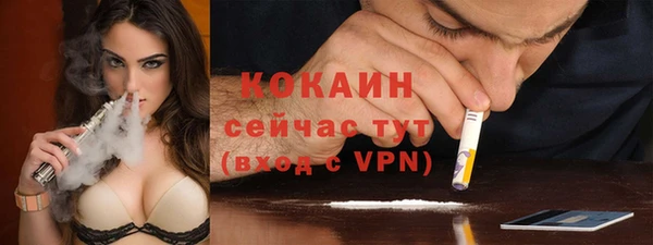сатива Горно-Алтайск