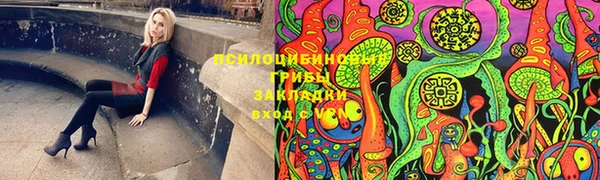 сатива Горно-Алтайск