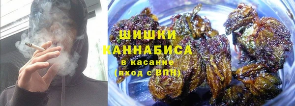 сатива Горно-Алтайск